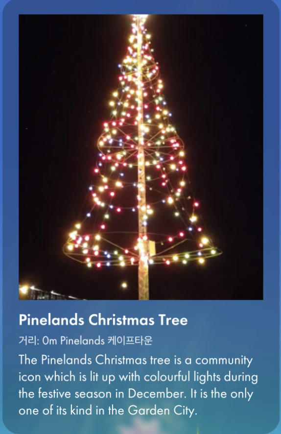 크리스마스 트리