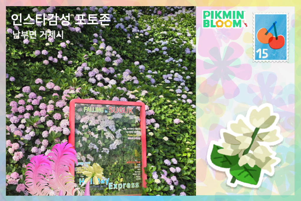 인스타 감성 포토존