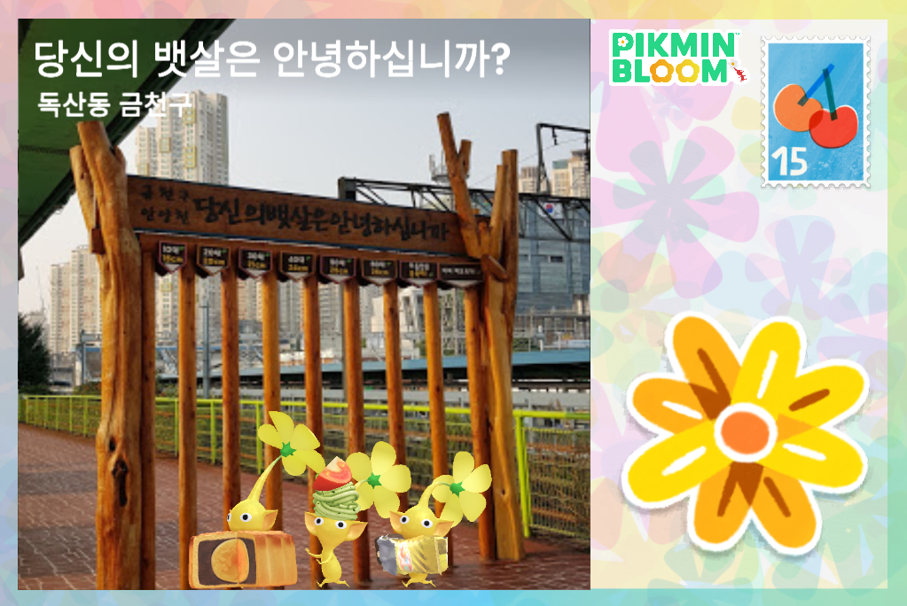 당신의 뱃살은 안녕하십니까?