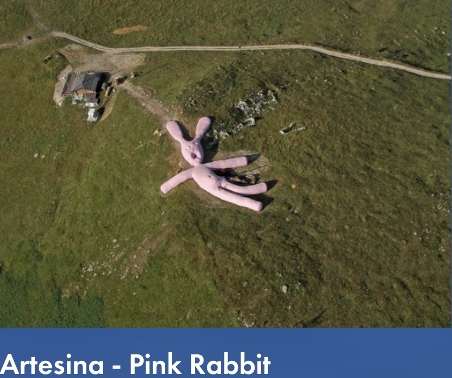 Pink Rabbit