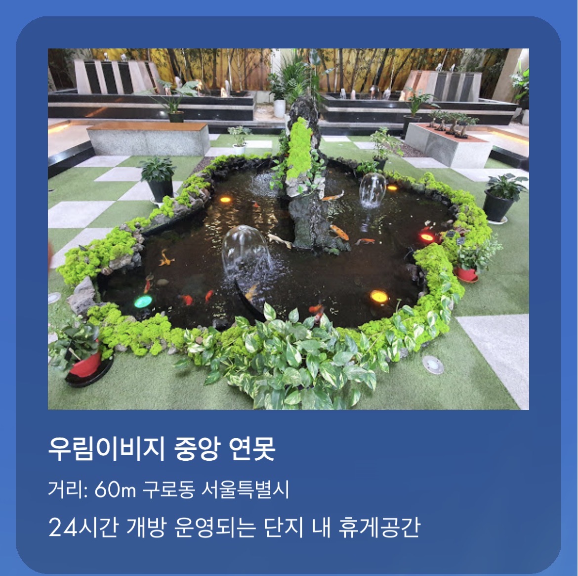 우림 이비자 연못