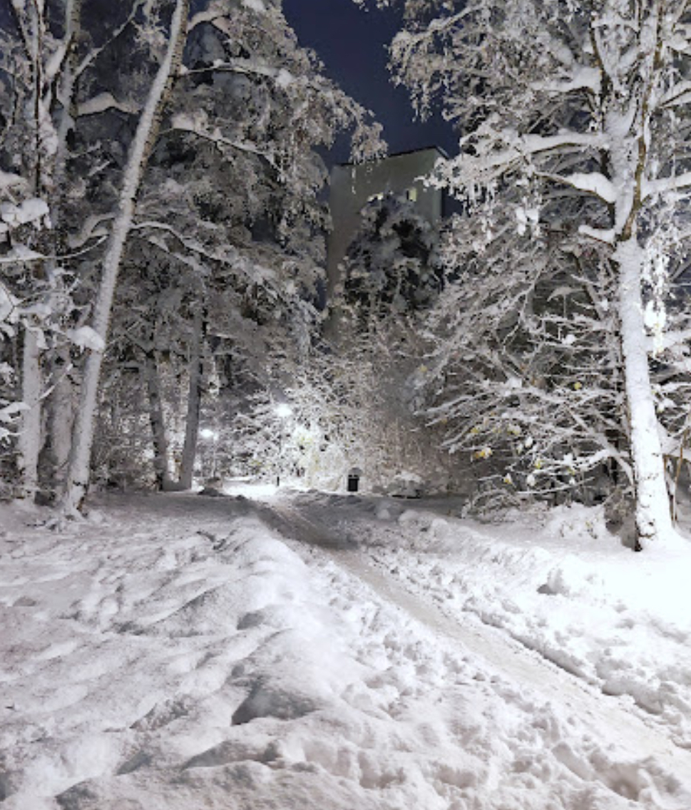 당신이 걷는 길