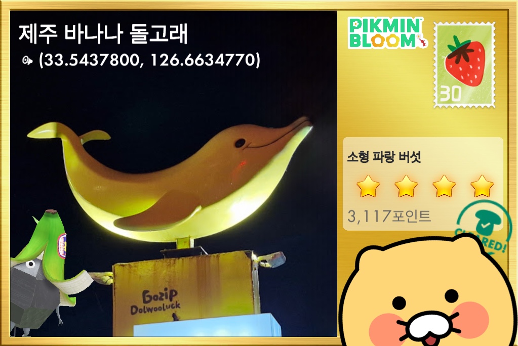 제주 바나나 돌고래