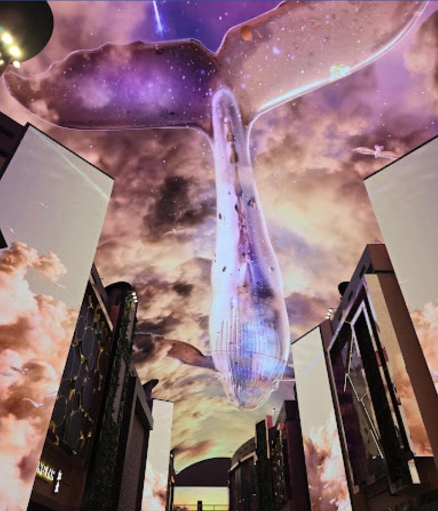 인스파이어 오로라 스크린