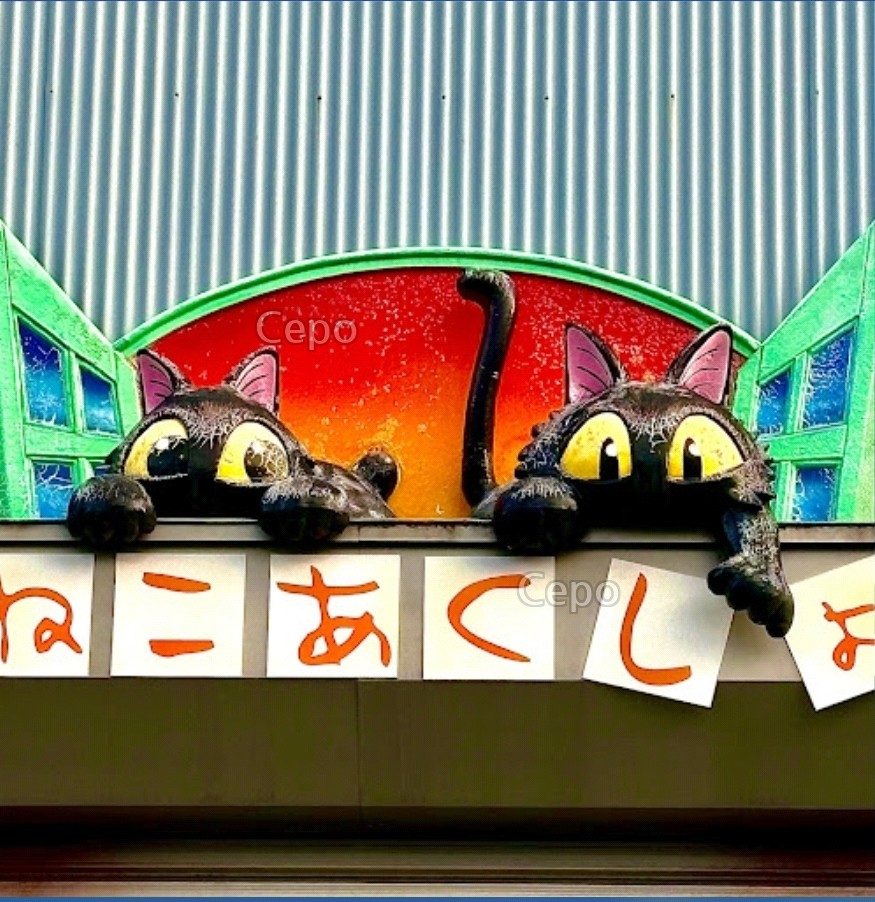 ねこあくしょん