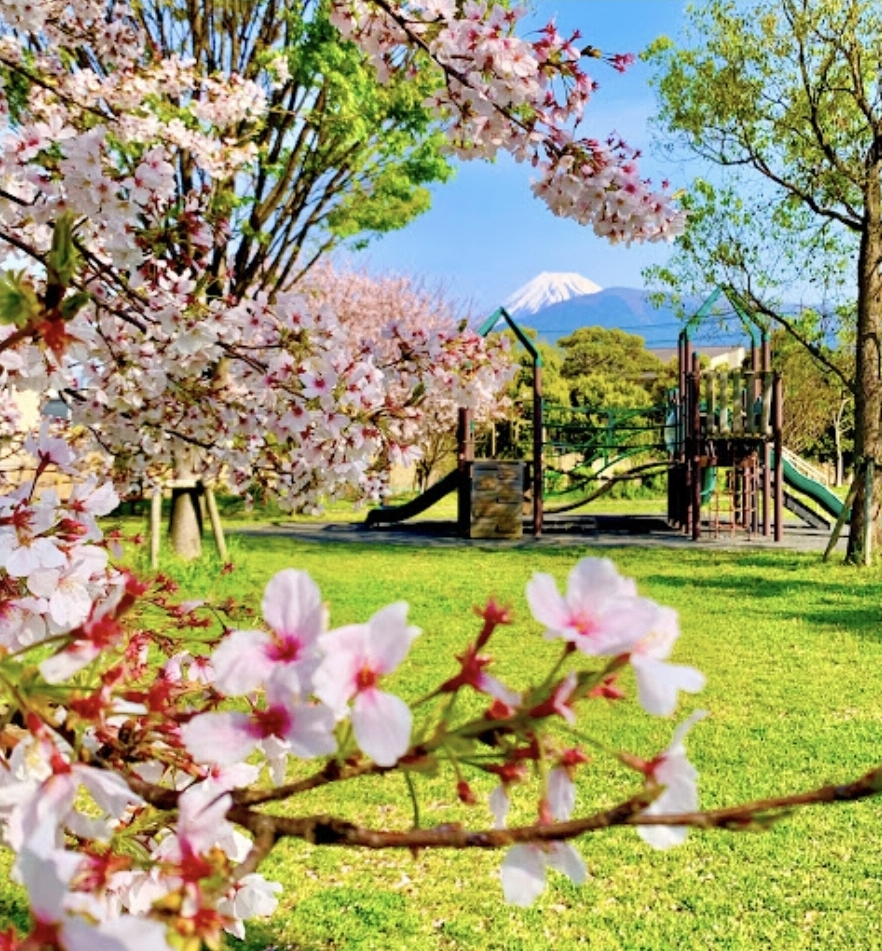 가타하마키타 공원