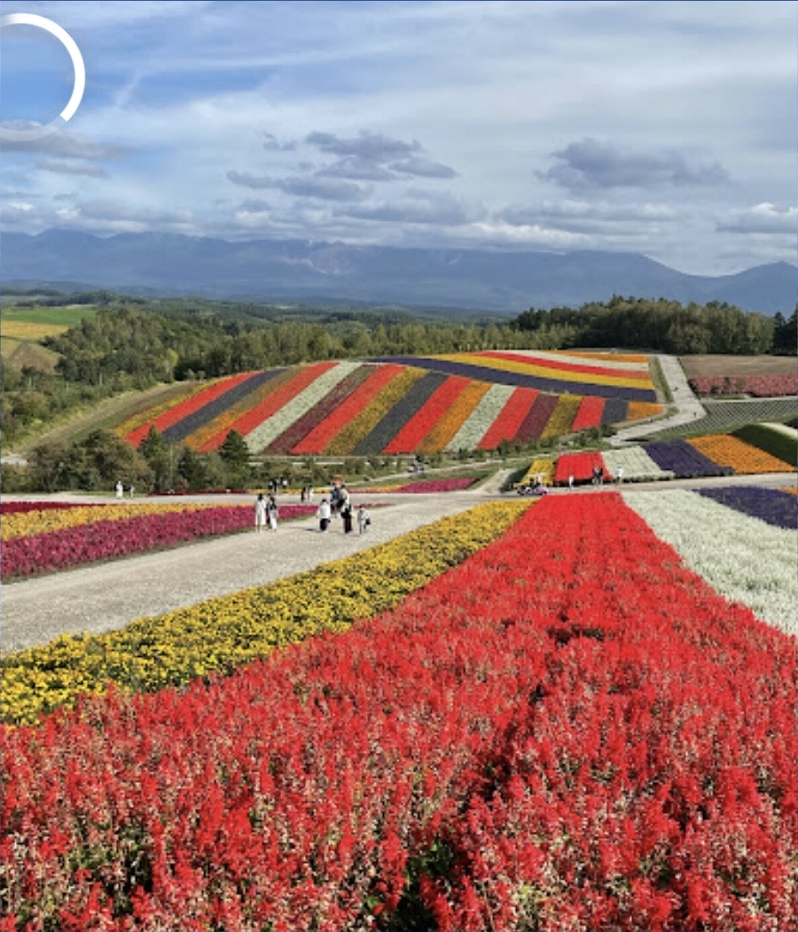 사계절 색의 언덕