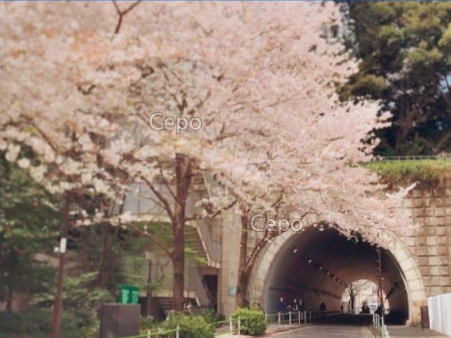 아타고신사 옆 터널