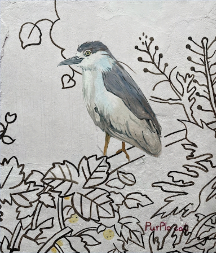 정릉천의 해오라기