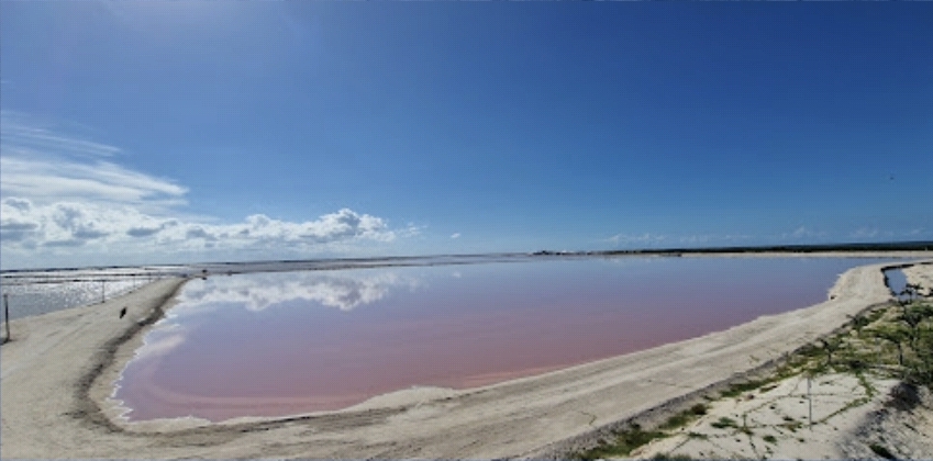 분홍색 소금호수