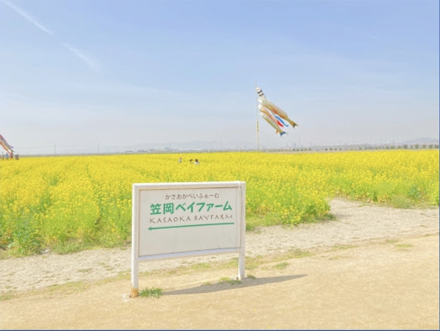 가사오카 베이 팜