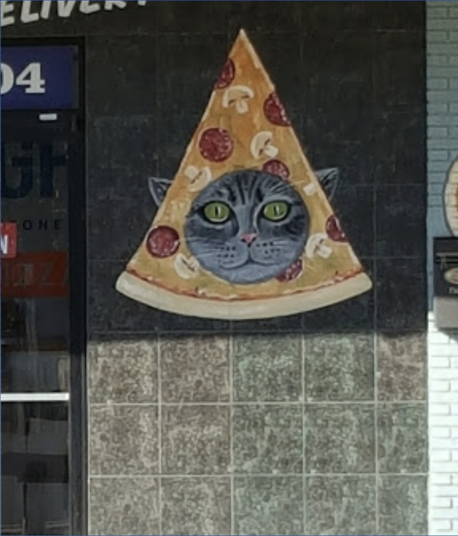 피자 고양이