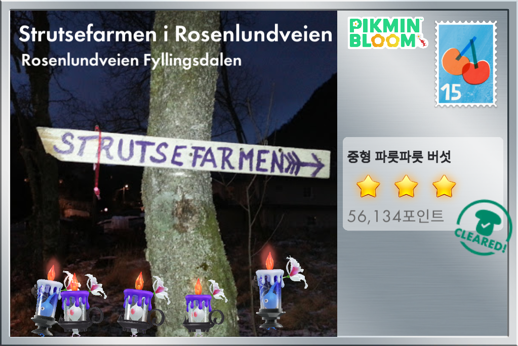 할로윈잘어울리는버섯