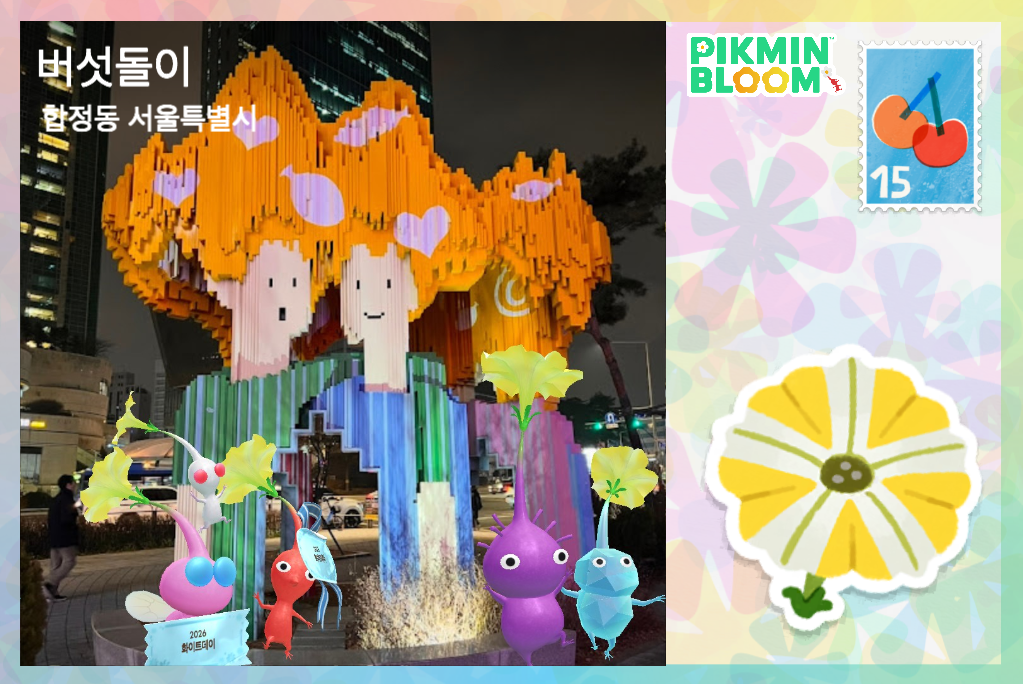 합정동 근처 버섯