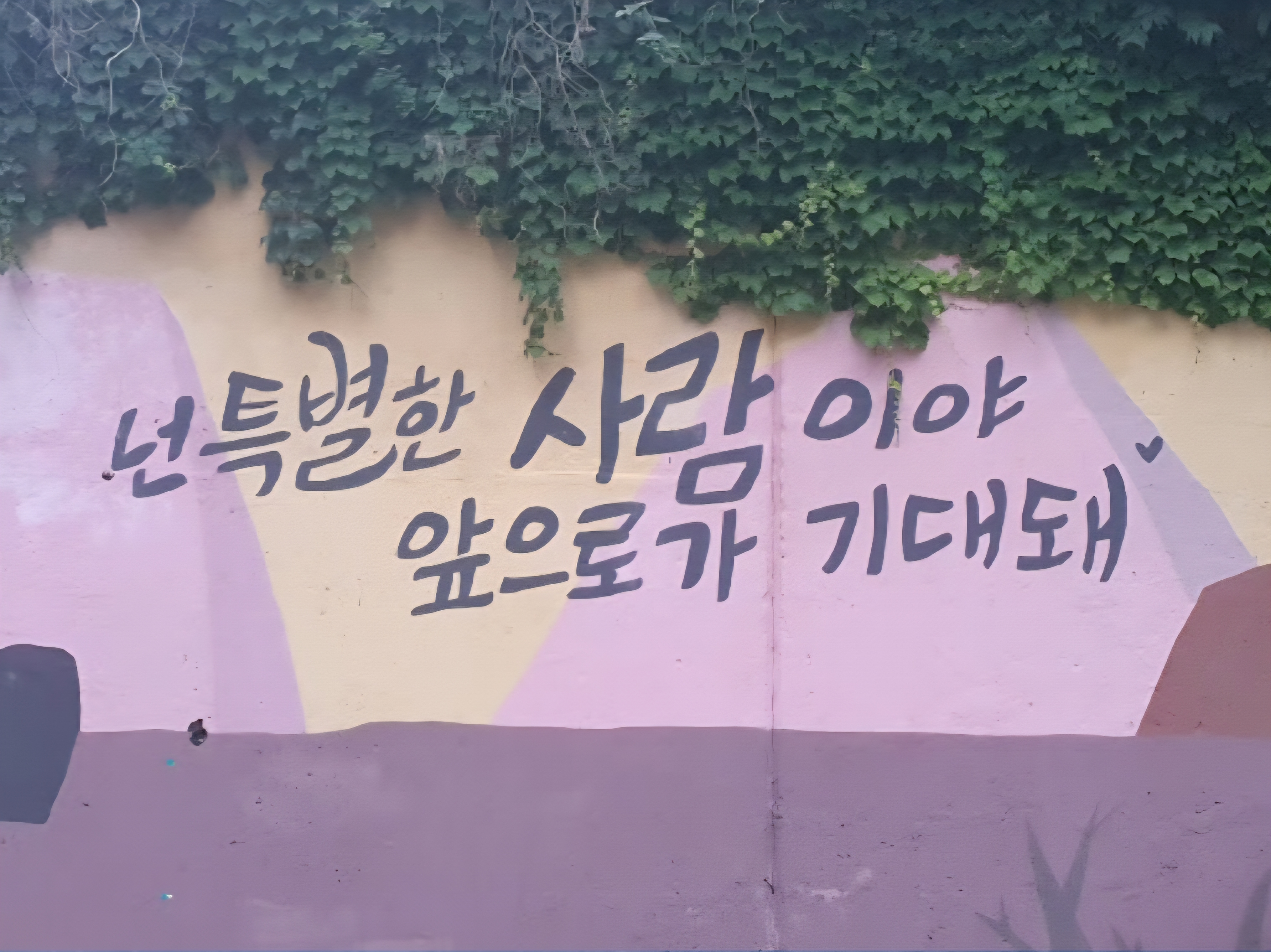 앞으로가 기대돼