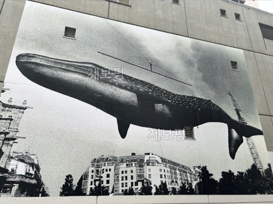 ファイヤー通りの鯨