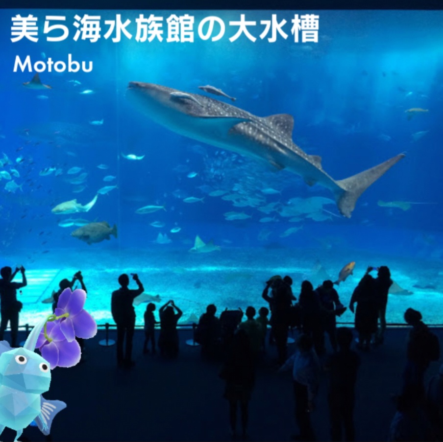 츄라우미 수족관