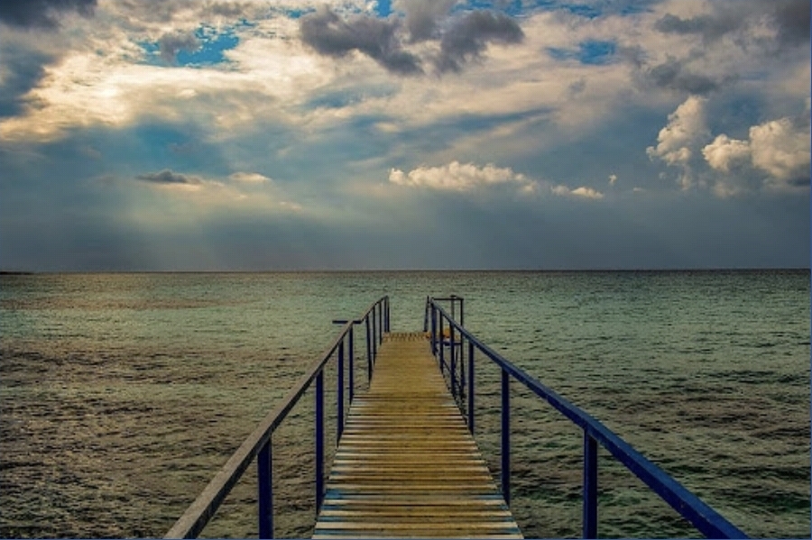 바다로 향하는 다리