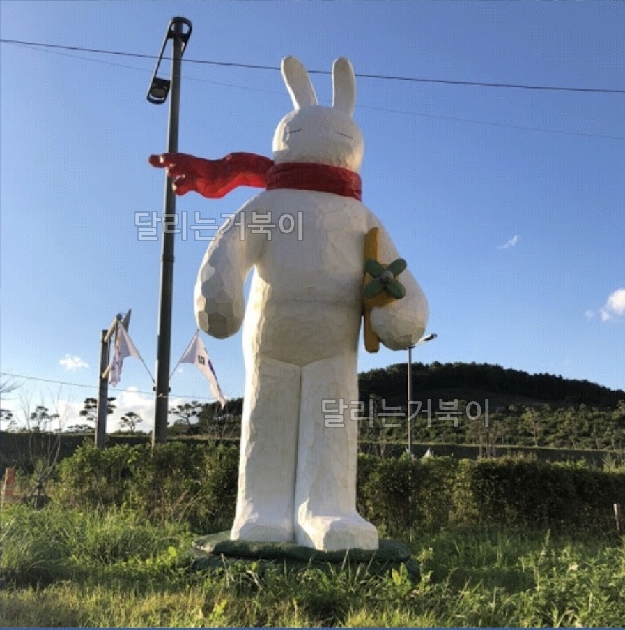 빨간목도리 토끼