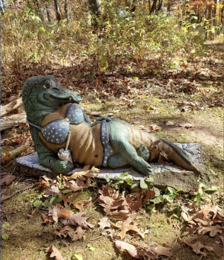 비키니 입은 악어