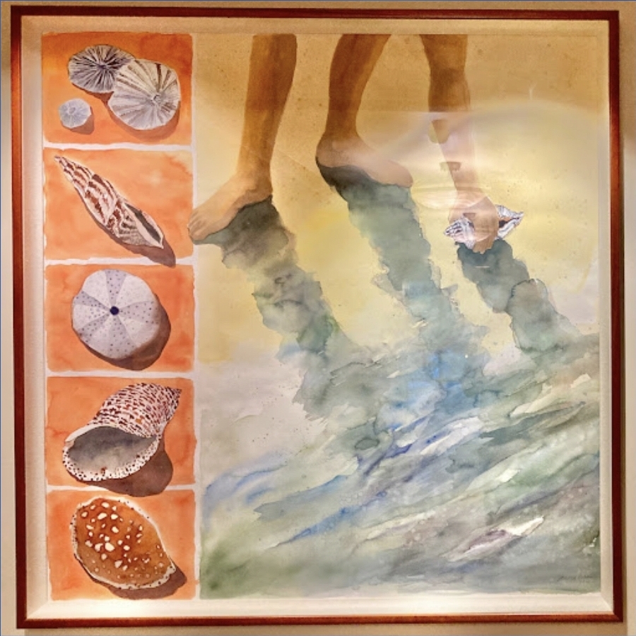 해변의 하와이 조개들