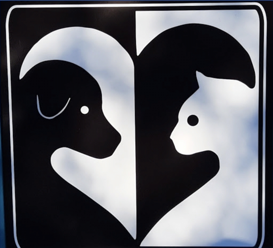 고양이와 강아지