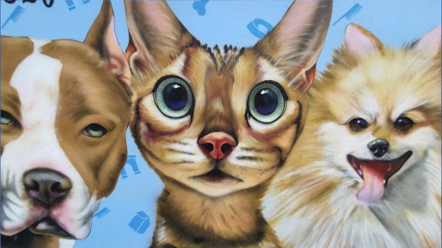 고양이와 강아지