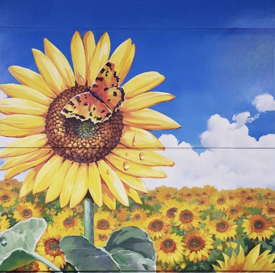 해바라기와 나비