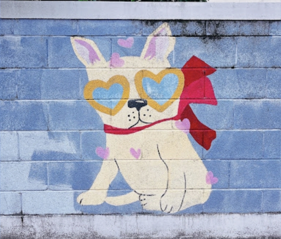 선글라스 강아지