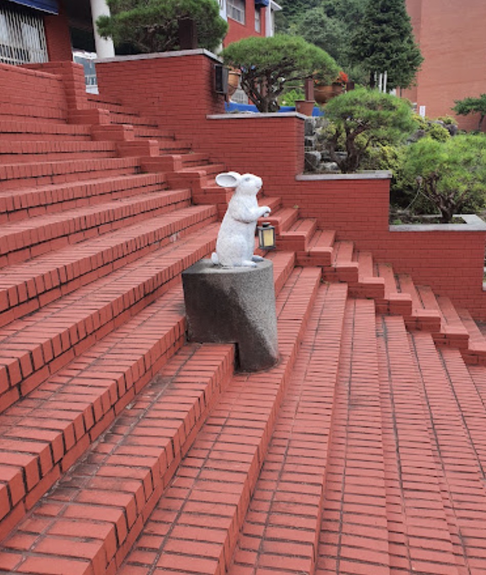 어둠을 밝히는 토끼