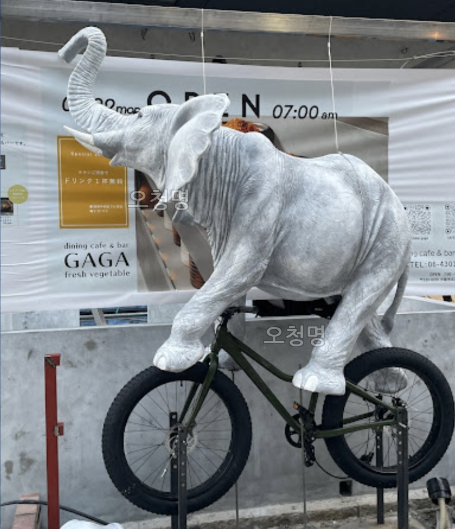 자전거 탄 코끼리