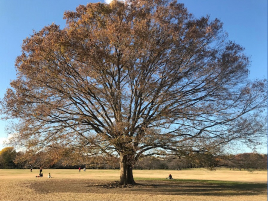 모두의광장 센터트리