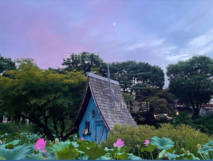 연꽃 쉼터