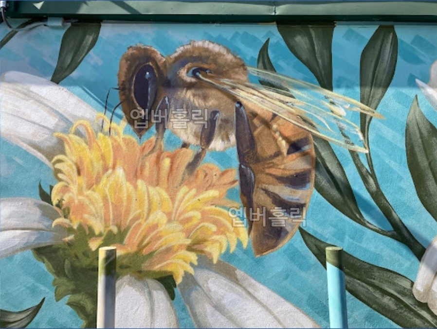 꿀벌 벽화