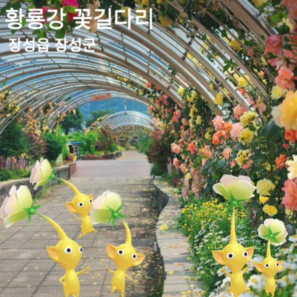 꽃길다리