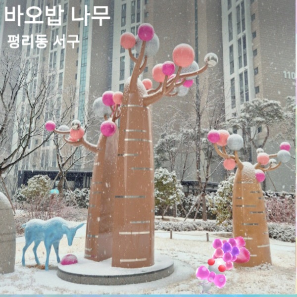 바오밥나무