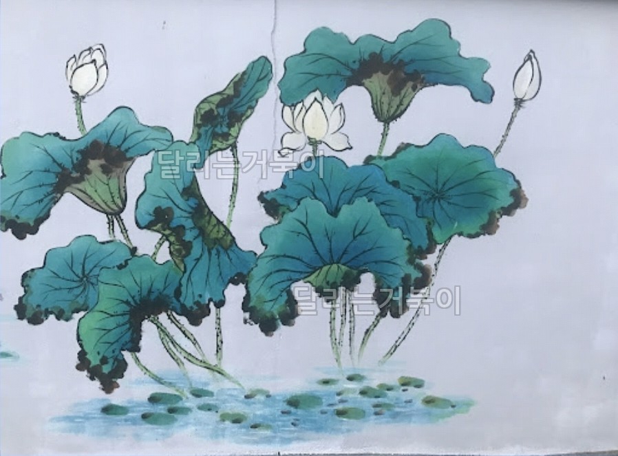 연못 수련
