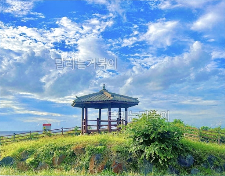 해안의 정자