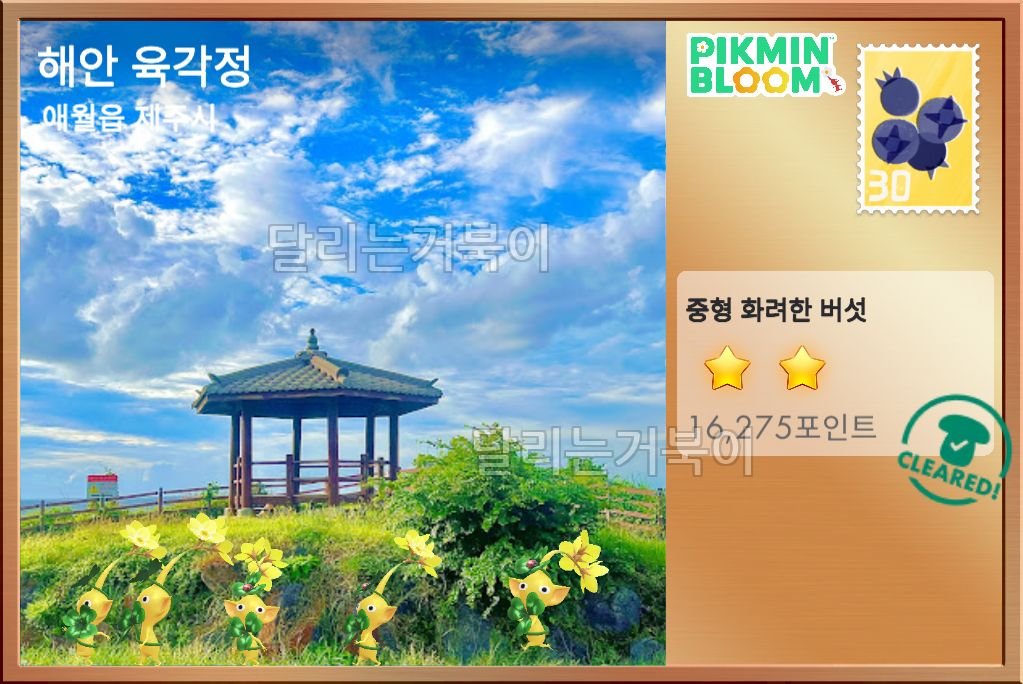 썸네일 3