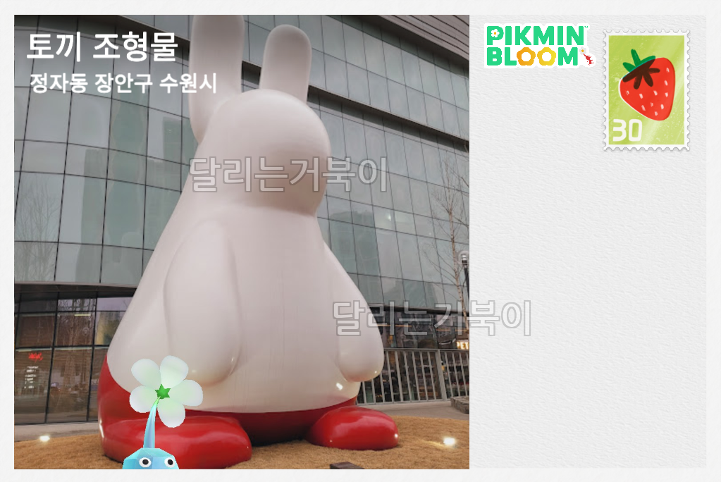 토끼