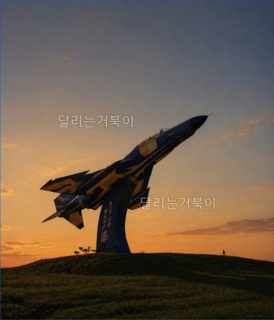 공군 비행기
