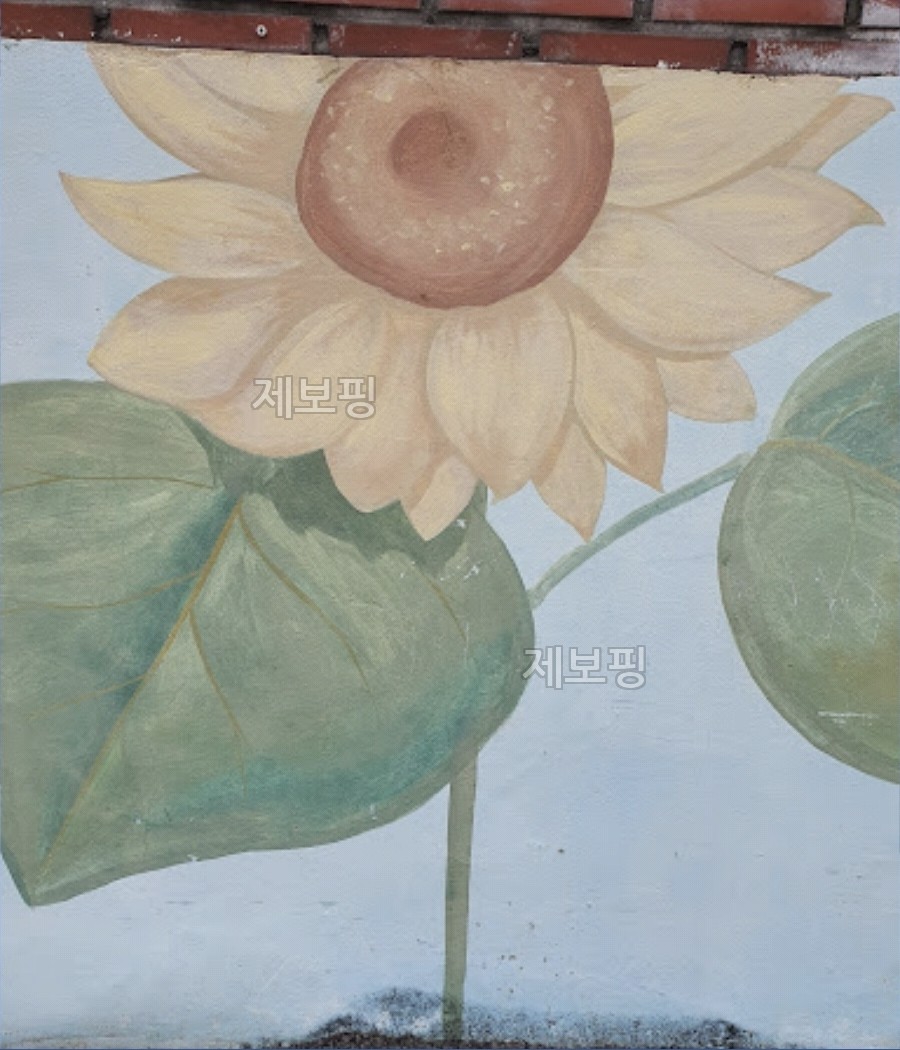 해바라기꽃