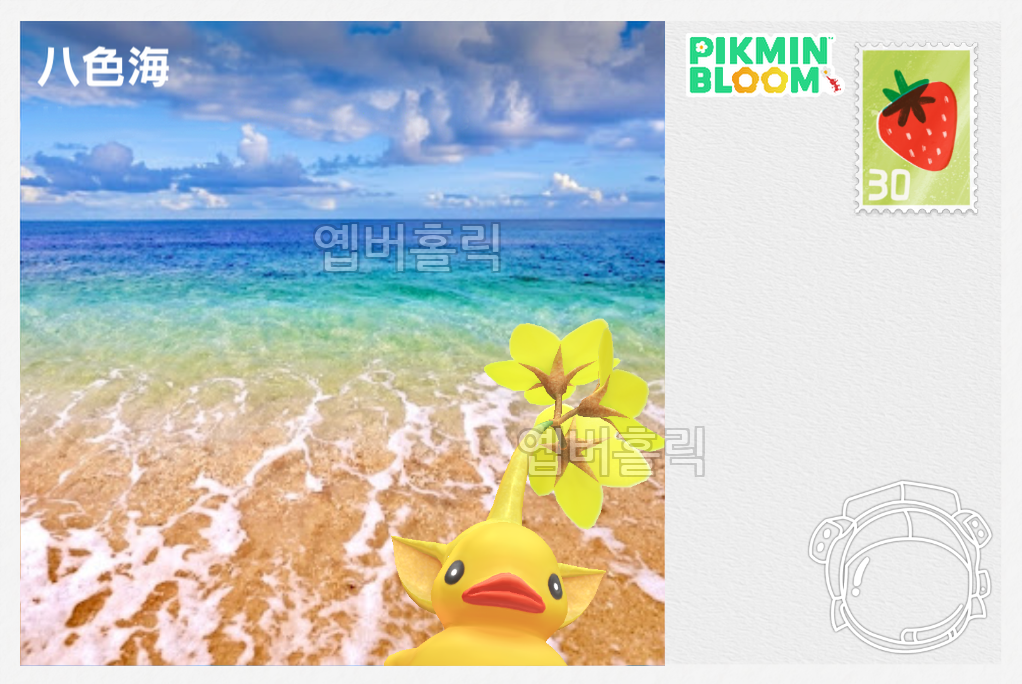 팔색해