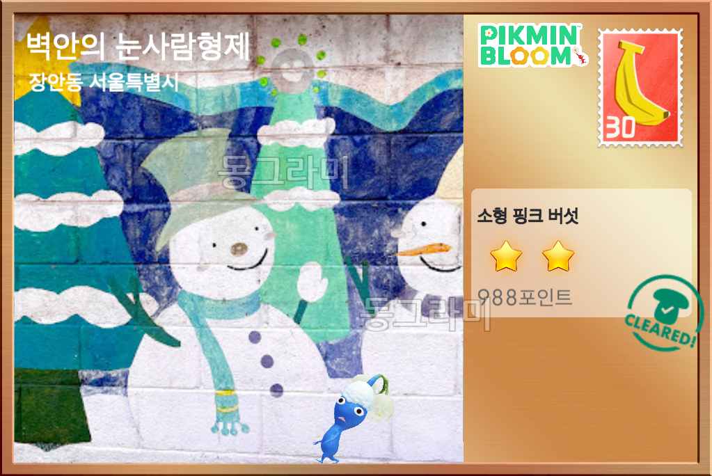 장한평역 근처 버섯