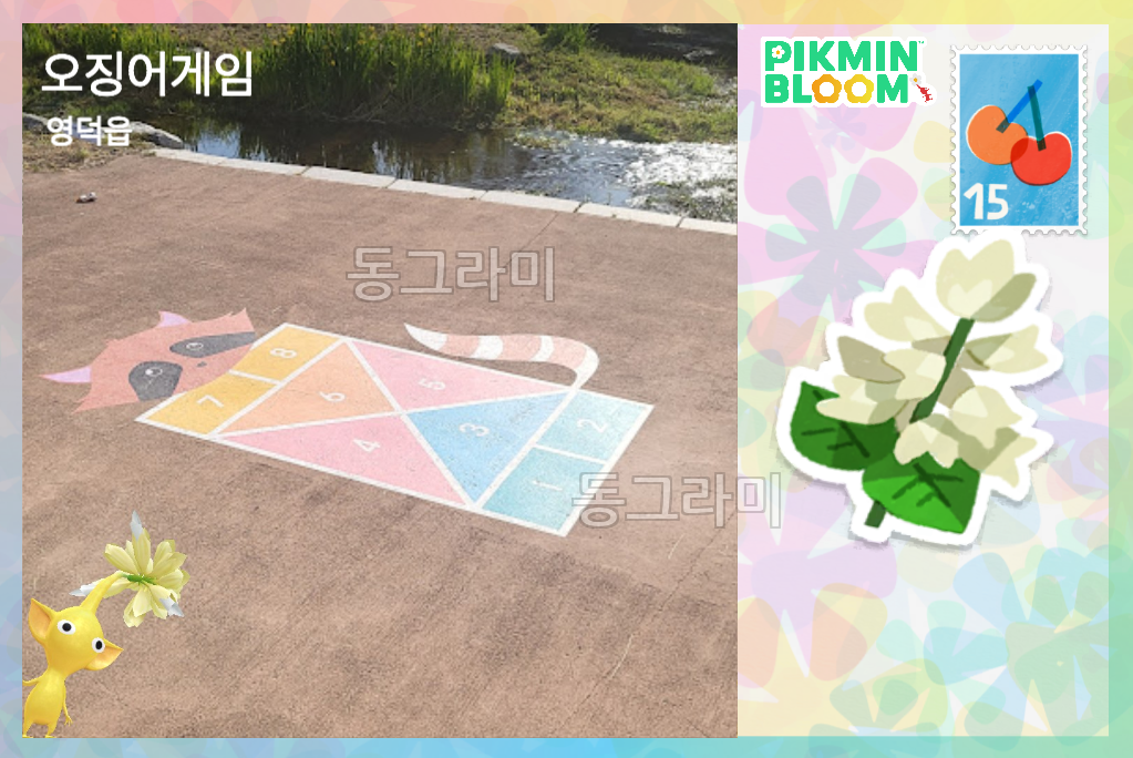 영덕군 근처 빅플라워