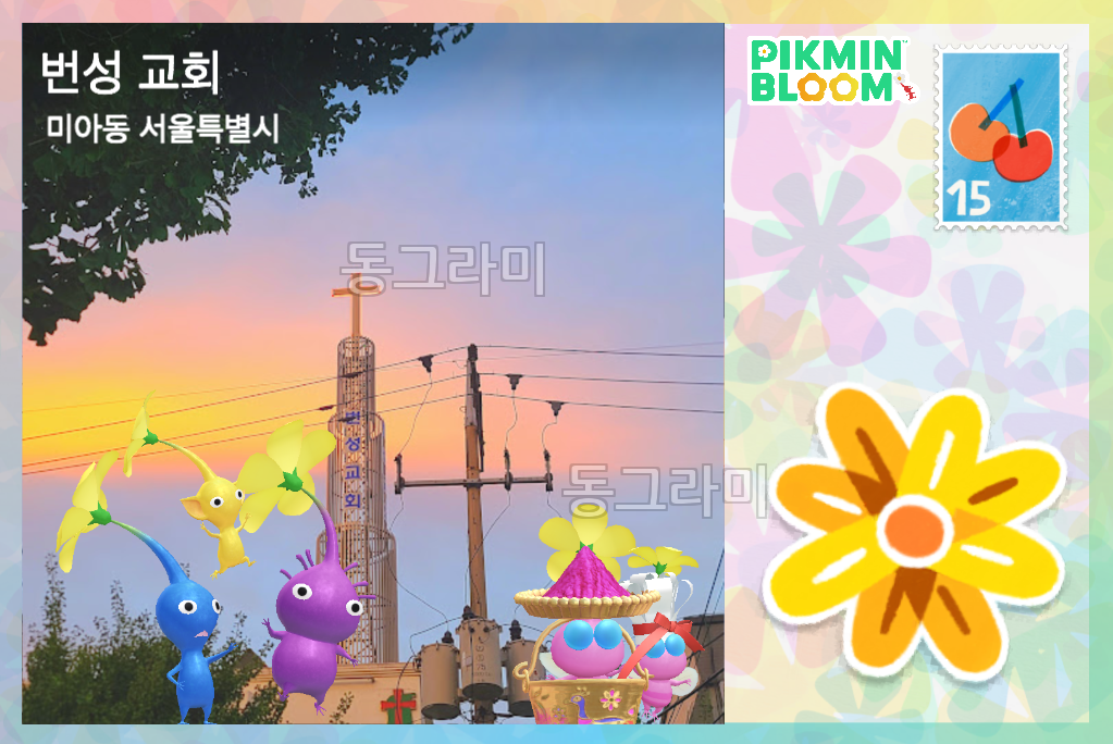 미아역 근처 빅플라워 엽서