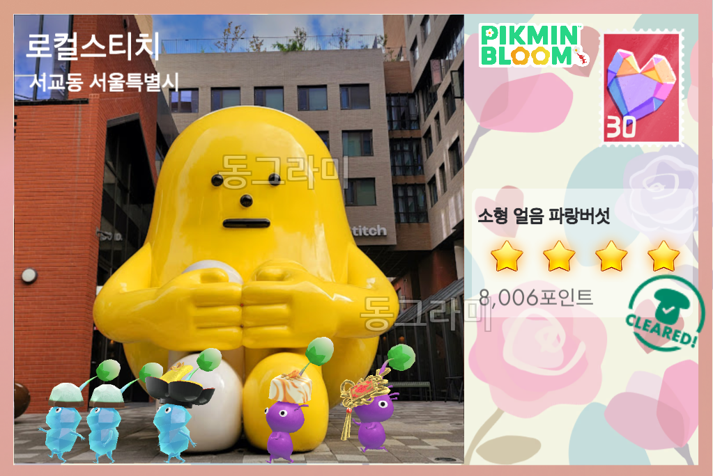 망원역 근처 버섯