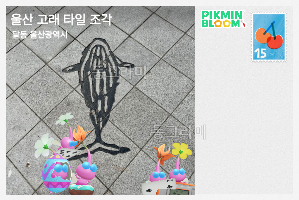 울산 남구청사거리 근처 탐험 엽서