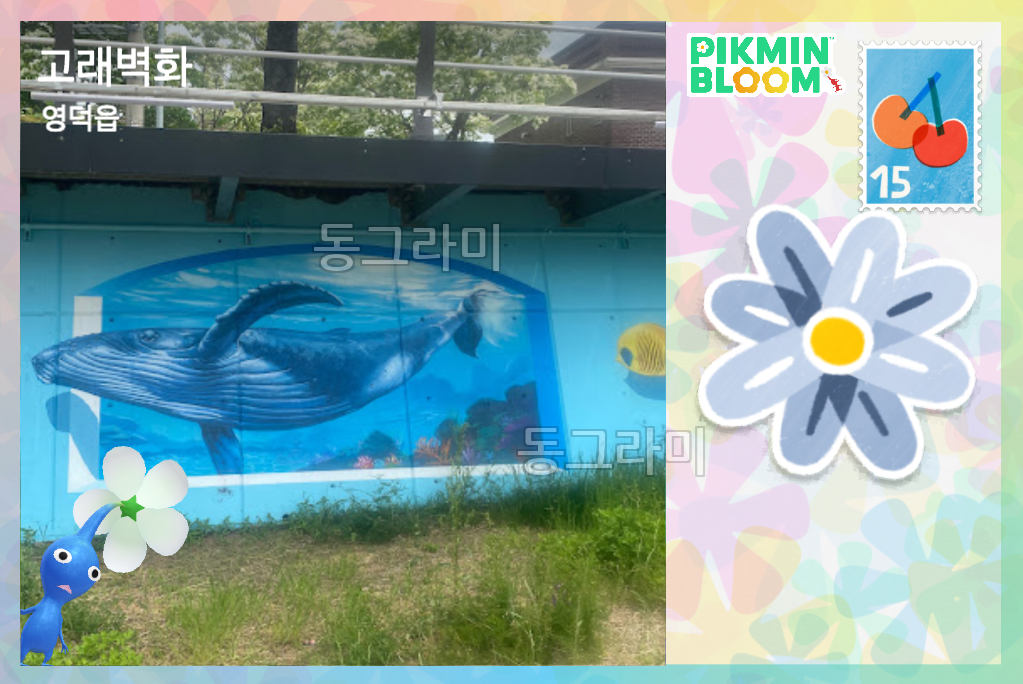 영덕군 근처 탐험 엽서