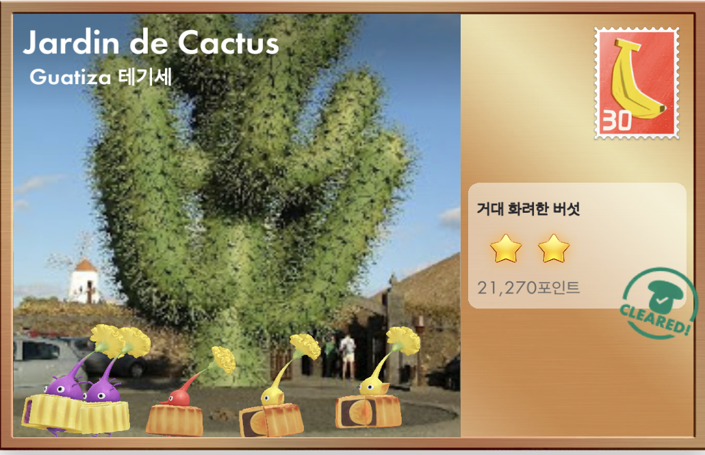선인장 정원